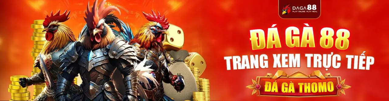 Đá gà trực tuyến MV666 Win với những trận đấu gà kịch tính và hấp dẫn
